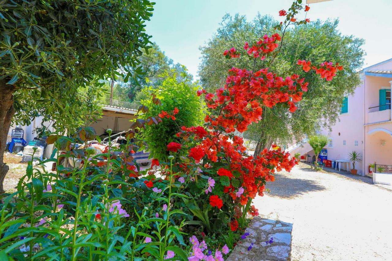 Fran Apartments Agios Spyridon  외부 사진